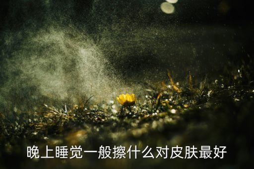 晚上睡觉一般擦什么对皮肤最好