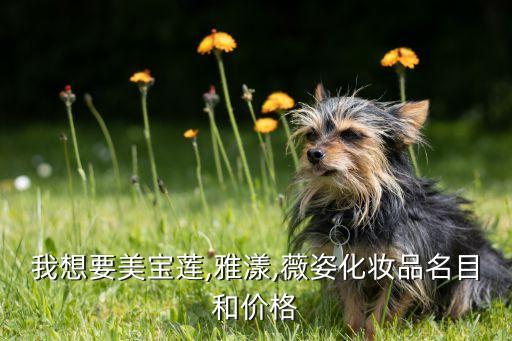 微姿粉底液价格是多少,维希德尔科斯