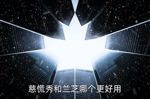 慈慌秀和兰芝哪个更好用
