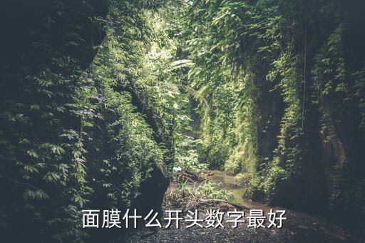  面膜什么开头数字最好