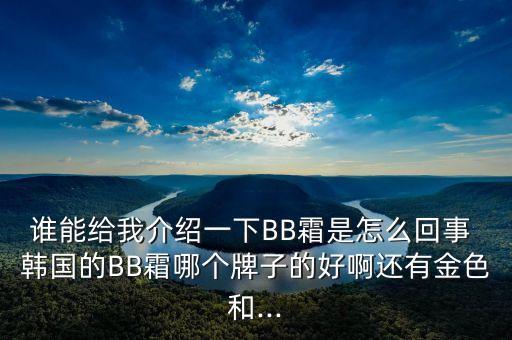 谁能给我介绍一下BB霜是怎么回事 韩国的BB霜哪个牌子的好啊还有金色和...