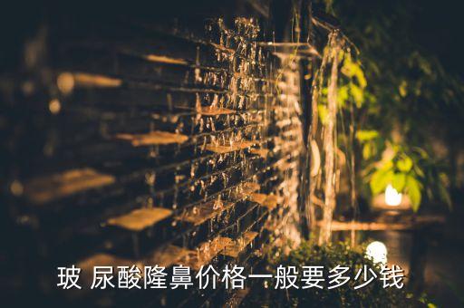 玻 尿酸隆鼻价格一般要多少钱