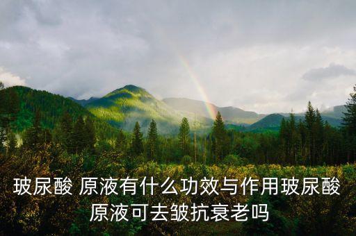 玻尿酸 原液有什么功效与作用玻尿酸 原液可去皱抗衰老吗