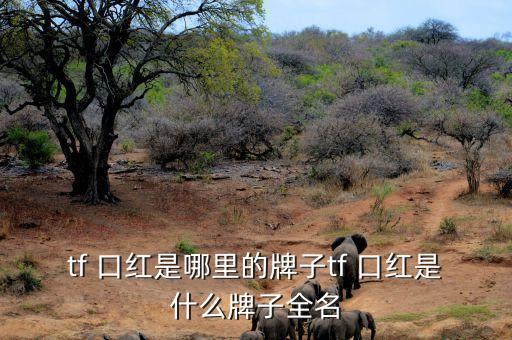 tf 口红是哪里的牌子tf 口红是什么牌子全名