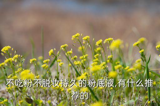 不吃粉不脱妆持久的粉底液,有什么推荐的