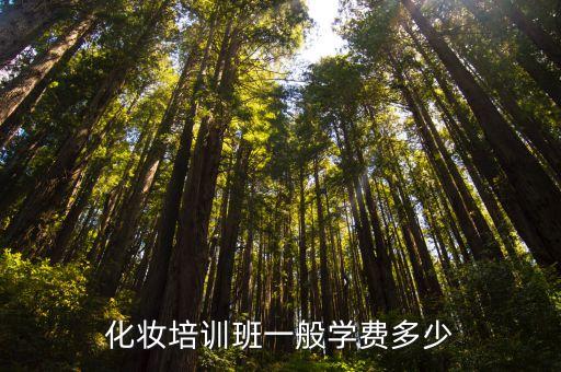 化妆培训班一般学费多少