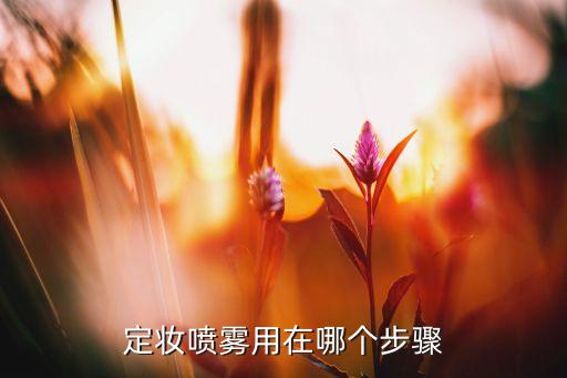定妆喷雾用在哪个步骤