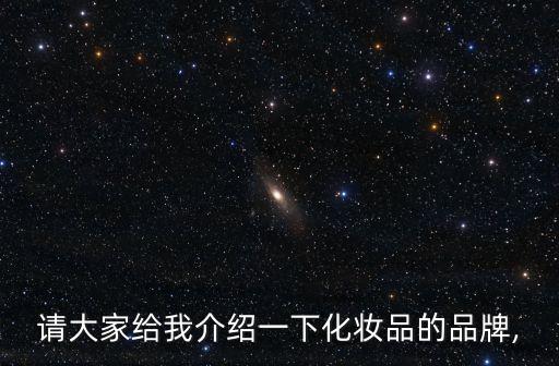 请大家给我介绍一下化妆品的品牌,