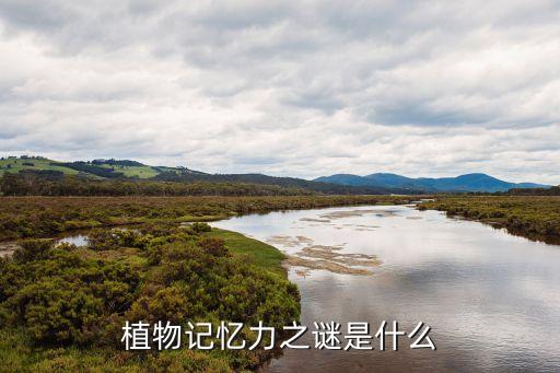 植物记忆力之谜是什么