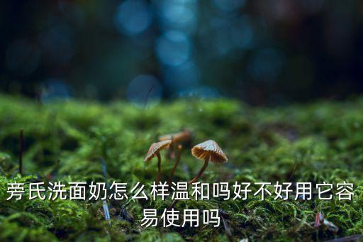 旁氏洗面奶怎么样温和吗好不好用它容易使用吗