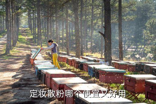 定妆散粉哪个便宜又好用