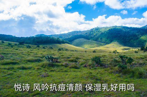  悦诗 风吟抗痘清颜 保湿乳好用吗
