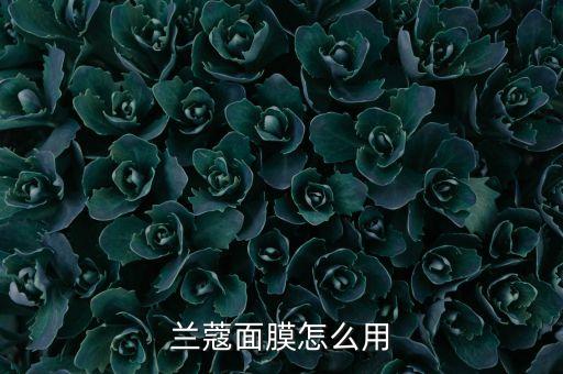 兰蔻面膜怎么用