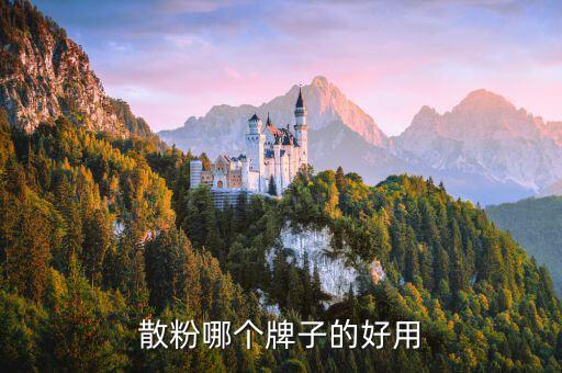定妆散粉里面什么牌子好