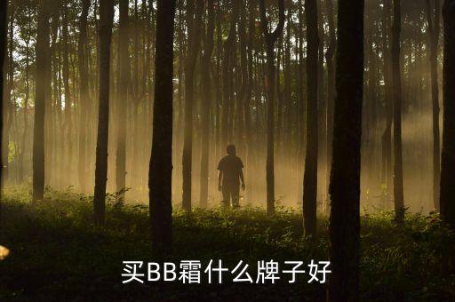 买BB霜什么牌子好