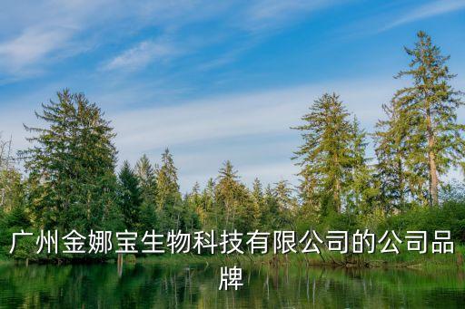 金川秀是怎么样的运营模式