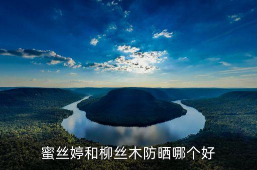 蜜丝婷和柳丝木防晒哪个好