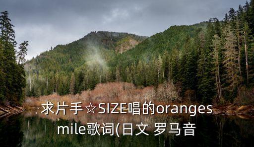 求片手☆SIZE唱的orangesmile歌词(日文 罗马音
