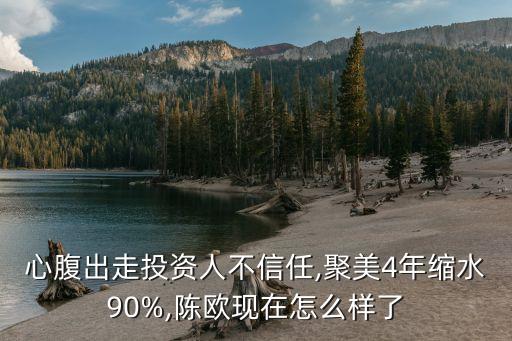 心腹出走投资人不信任,聚美4年缩水90%,陈欧现在怎么样了