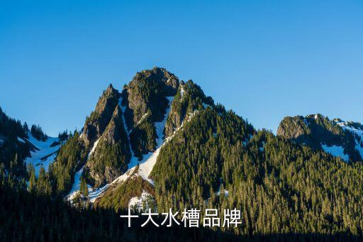 十大水槽品牌