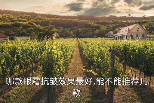 哪款眼霜抗皱效果最好,能不能推荐几款