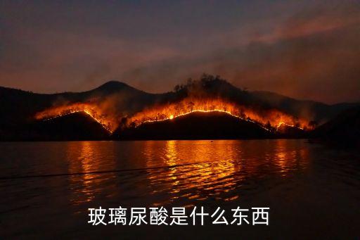 玻璃尿酸是什么东西