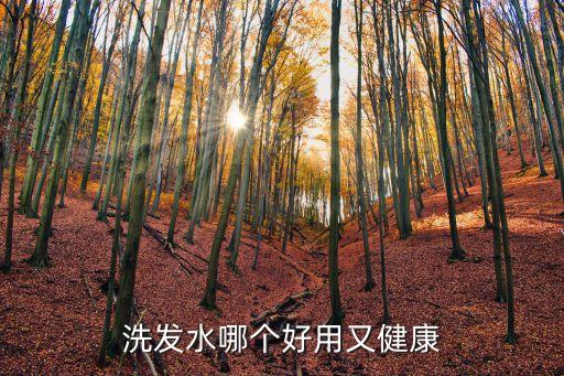 洗发水哪个好用又健康