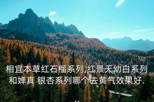 相宜本草红石榴系列,红景天幼白系列和婵真 银杏系列哪个去黄气效果好...
