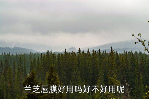 兰芝唇膜好用吗好不好用呢