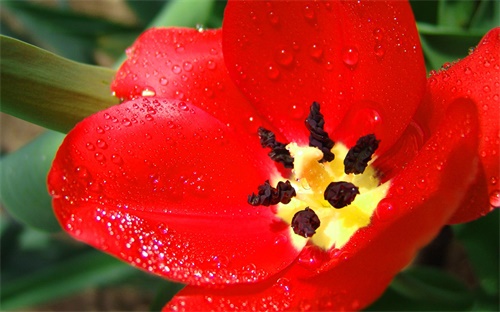 阿芙橄榄油精油怎么样,阿芙精油有效果吗